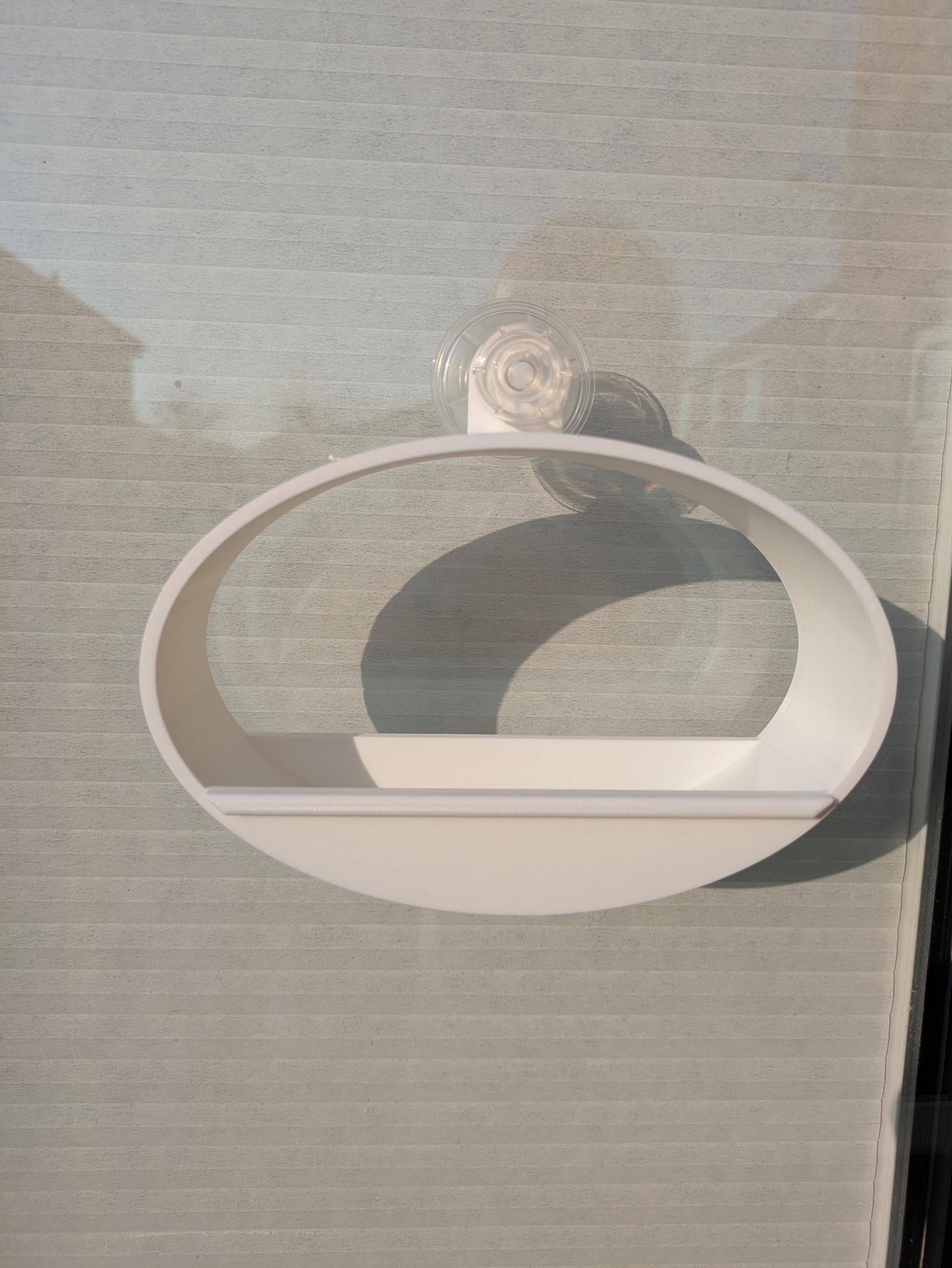 Modern, Oval Bird Feeder, attaches to window