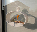 Modern, Oval Bird Feeder, attaches to window