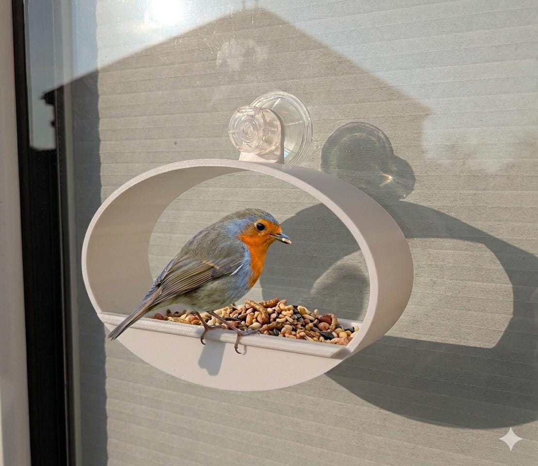 Modern, Oval Bird Feeder, attaches to window