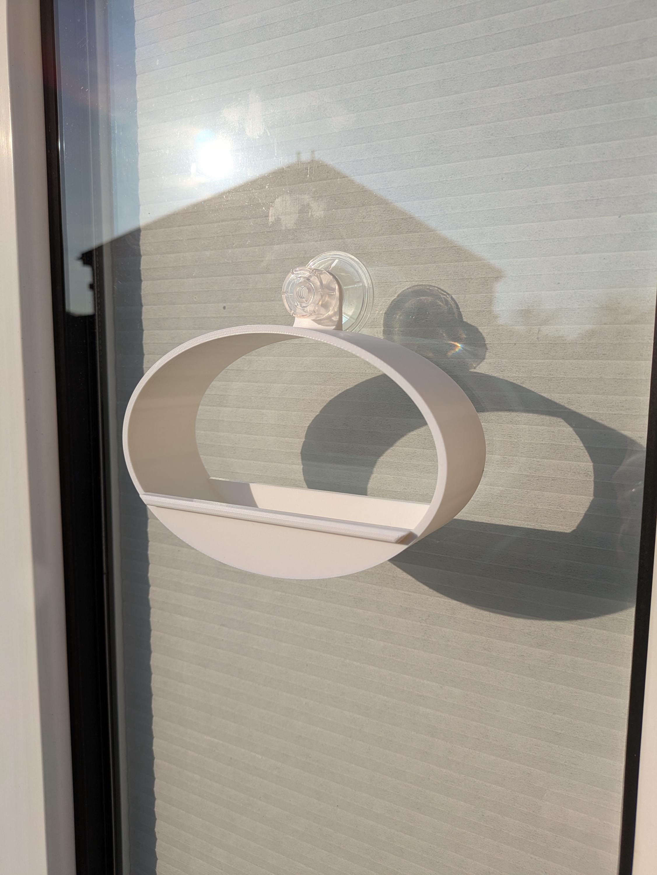 Modern, Oval Bird Feeder, attaches to window