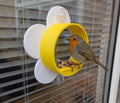 Bright sunny flower novelty window Bird Feeder: Suction Cup Design