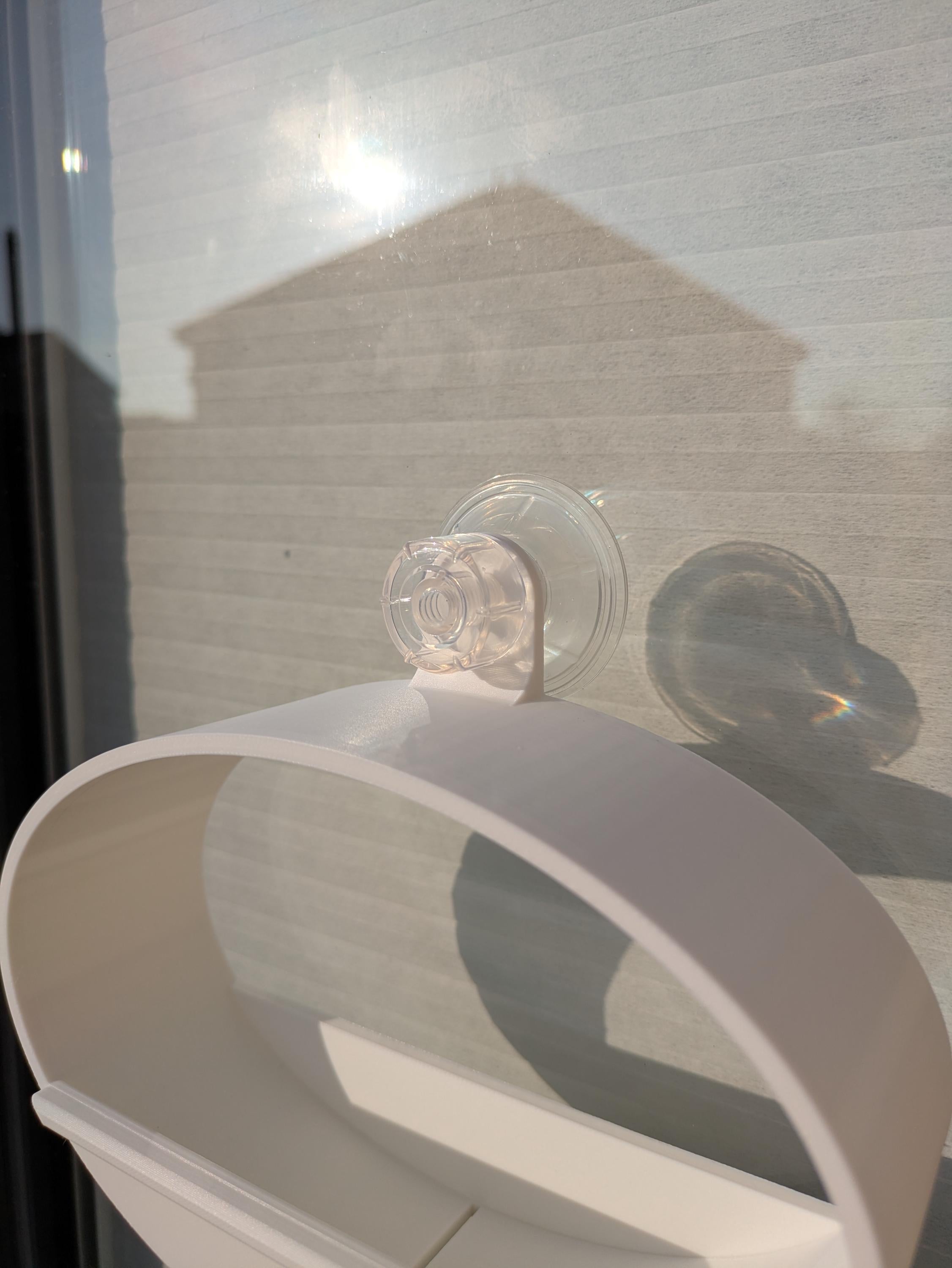Modern, Oval Bird Feeder, attaches to window