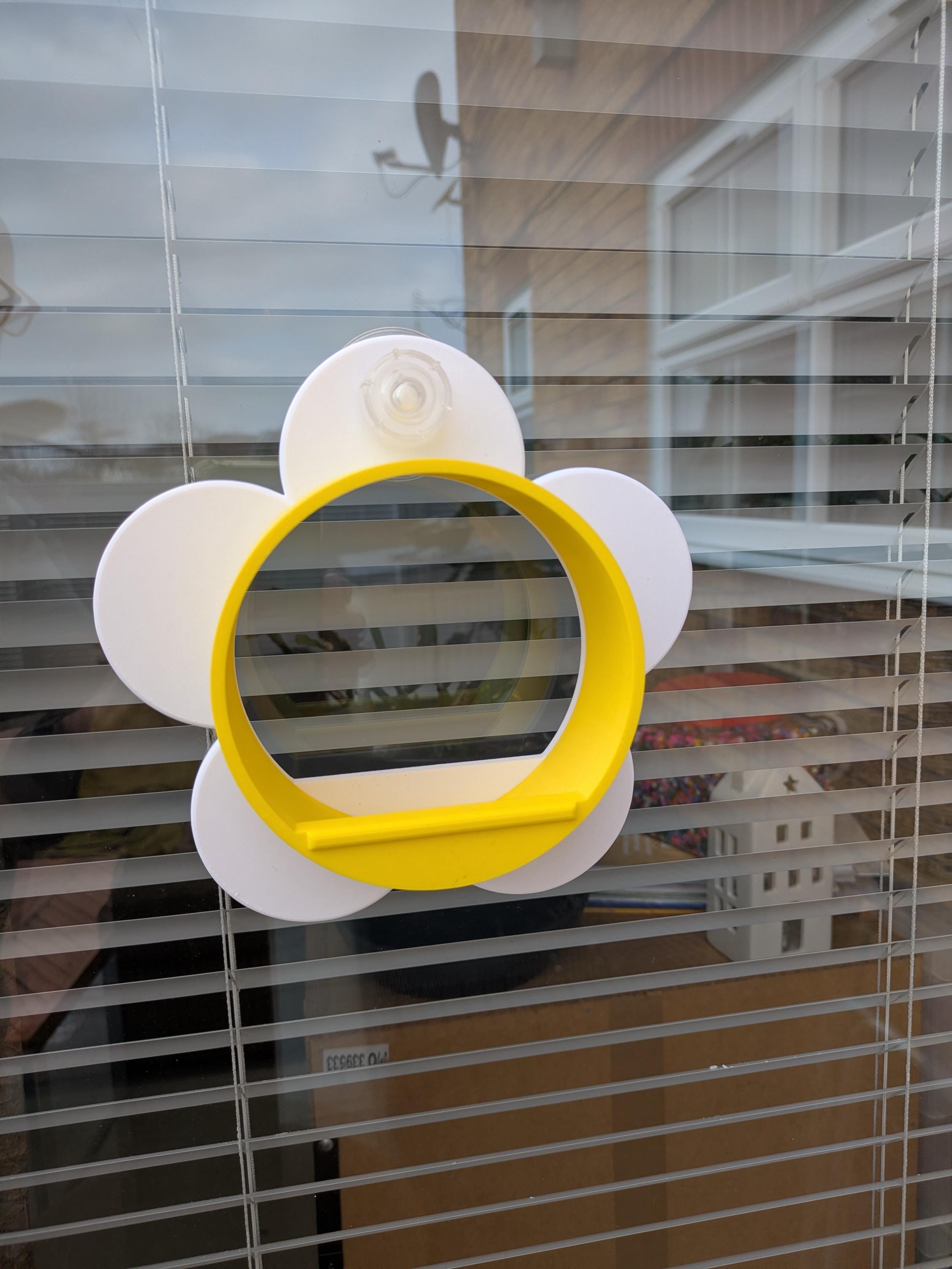 Bright sunny flower novelty window Bird Feeder: Suction Cup Design